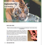 Kép 3/4 - Metaphor Mastery 7. (e-book)
